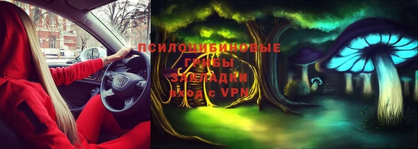тгк Беломорск