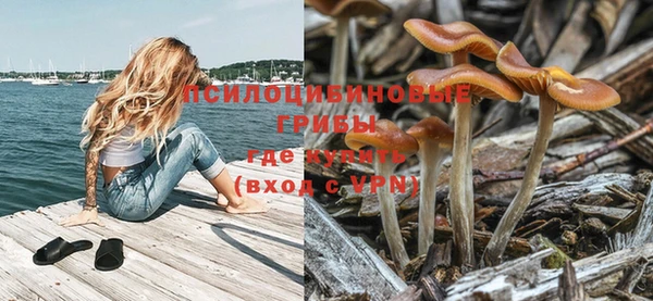тгк Беломорск