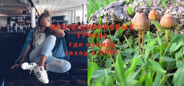 тгк Беломорск