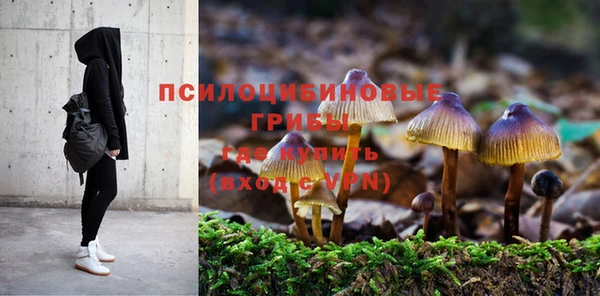 тгк Беломорск